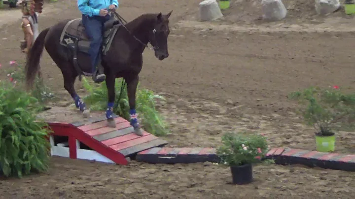 Barry Tomlin- 1st Go Pro-2017 EXCA World Finals