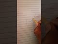 #anime hinata drawing rate 10/100 like and subscribe #viral