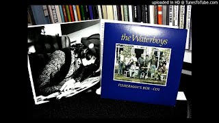 Watch Waterboys A Golden Age video