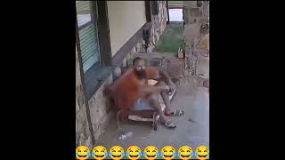 Marke Eigenbau 😂😂😂😂