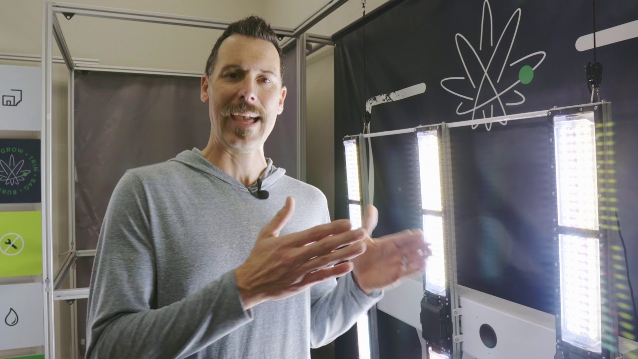 ScynceLED -   FIRESIDE   KUSH2