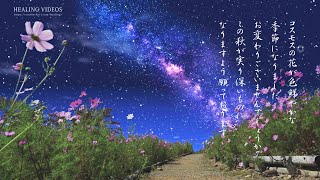 動画で伝えよう！秋のご挨拶（コスモスの花）グリーティングカード