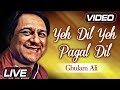 Yeh Dil Yeh Pagal Dil Mera - Live - Ghulam Ali Songs - Romantic Song - Musical Maestros