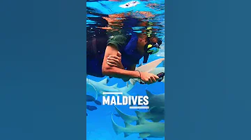 Maldives 