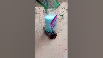 Eno + Water + Shampoo + soda  Amazing Experiment #shorts