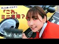 【ミニ】ゴミ箱迷子、ついに卒業しました｜車内が一気に快適に