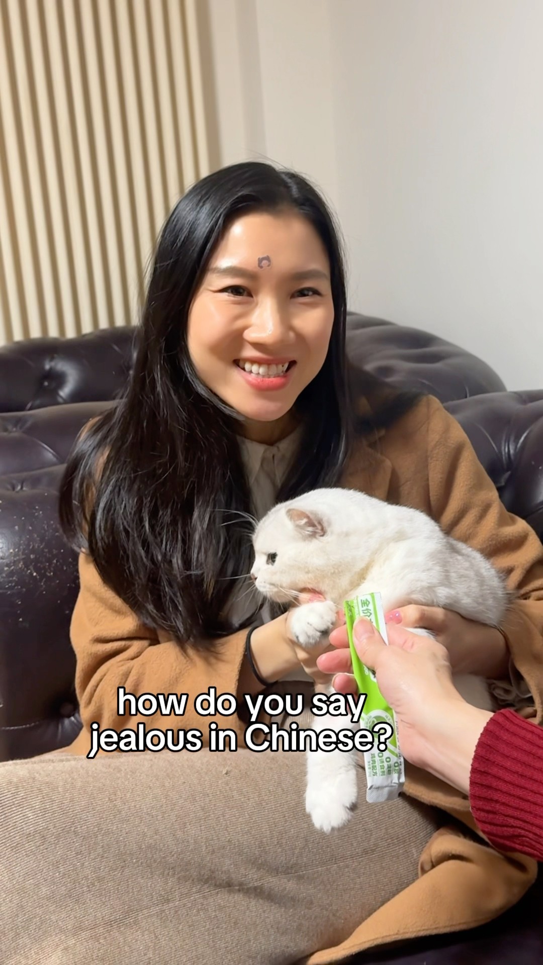 When you meet a cat in China