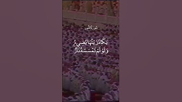 القارئ الشيخ علي جابر[سورة النور_الآية 35]