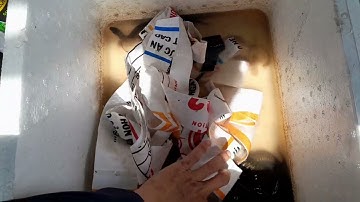 Chia sẻ bí quyết chăm sóc rắn ri voi con của anh nông dân Cần Thơ | NB chăn nuôi Cần Thơ