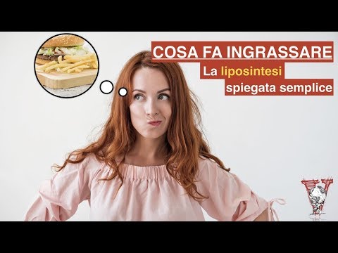 Cosa fa ingrassare: la liposintesi spiegata semplice