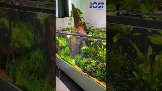 5000 liter planted aquarium