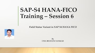 Field status variant in SAP S/4 HANA FICO
