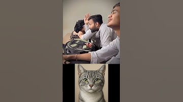 give this video a title (wrong answers only) #cat #meme #dance #trending #tiktok.