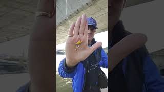 mini canne a pêche Aliexpress pour l'ouverture du carnassier le 25 avril 2026