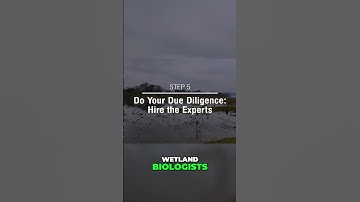 Due Diligence: Avoid Costly Home Buying Mistakes!