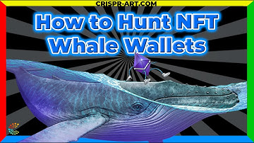 🐋 How to track NFT Whale wallets