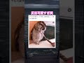 え…？取ったの…！？って反応。笑　#shorts#動物#かわいい#可愛い#癒し#癒し動画 #フクロウ #イタズラ