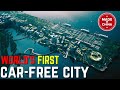 World's Most Futuristic City Made In China 2021Net City Shenzhen | 世界最具有未来感的城市 - 中国制造