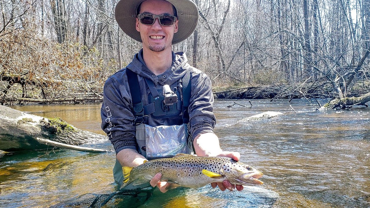 Michigan Trout Fishing Creek Fishing for BIG BROWNS YouTube