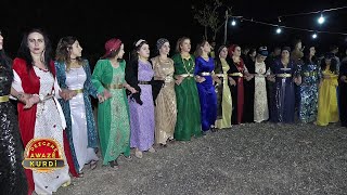 Zana Say - Şıvano Bılırwano I Segavi Halay [ Kürtçe Yeni Serhed Şarkılar ]