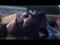 Abraham Alexander - Stay (Official Video) | Mahogany Recordings