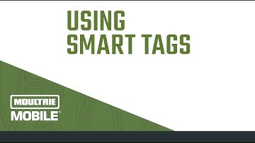 How To Use Smart Tags