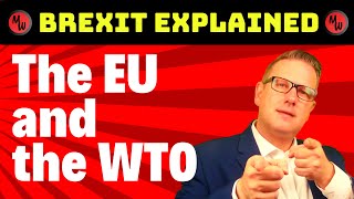 The European Union (EU) and the WTO - Brexit explained