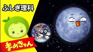 地球の衛星、月 | 子供の理科「宇宙」 #12 | まめきゅん MAMEKYUNN