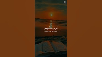 اكتب شيء تؤجر عليه -راحه نفسيه القارئ عبدالرحمن مسعد