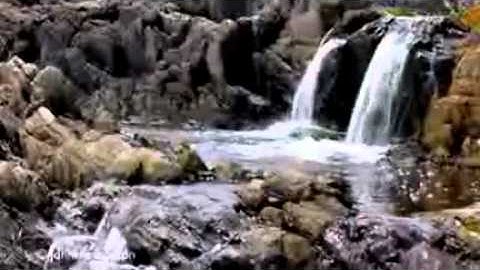 دعاء القنوت 21 رمضان 1436 حي كعبوب سطيف 2015 للقارئ قويدر بن رزقة