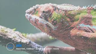 THX _ Dolby Surrounding | THX Surrounding _ Deep Note Trailer