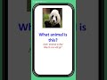Wild Animals 05: Learn English Animal Names & Vocabulary