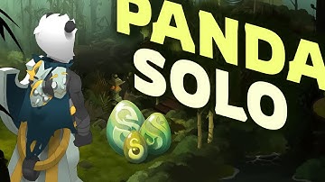 Le PANDAWA en MONOCOMPTE sur DOFUS