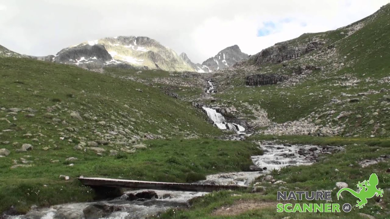 Julierpas Wandelen In Val D Agnel YouTube