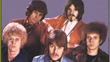 The Move - Useless information