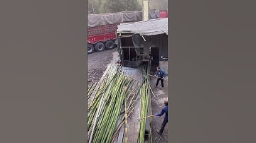 Bamboo processing process-good machines and tools can improve work efficiency #quickclipsmedia