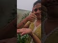 Childhood memories♥️😁 #childhoodmemories #90skid #youtubeshorts #trendingreels