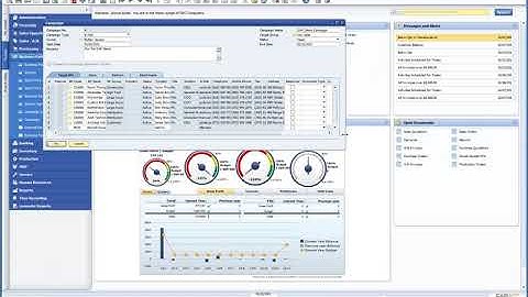 CAMPAIGN MANAGEMENT IN SAP BUSINESS ONE