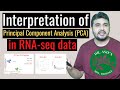 Interpretation of Principal component analysis (PCA) in RNA seq