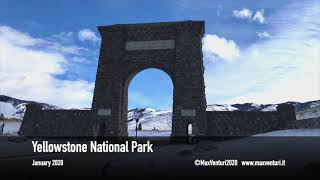 Yellowstone National Park - Winter Wildlife Photo