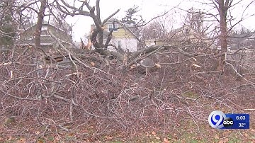 High winds knock down trees, leave thousands in the dark