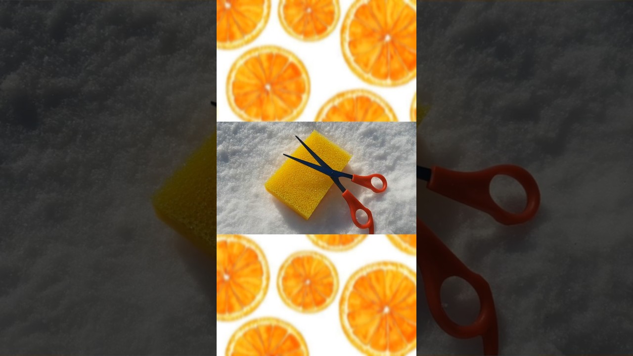 SPONGE WITH SNOW CUTTING ✂️ ASMR 