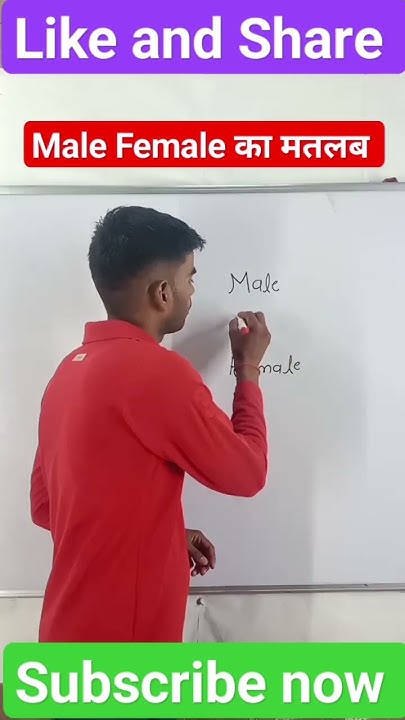 male-female-male-female-meaning-in-hindi-female-viral