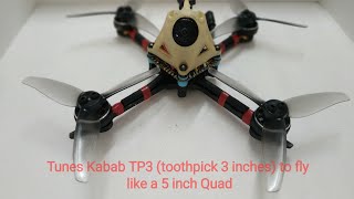 Tunes Kabab TP3 to fly like 5 Inch Quad