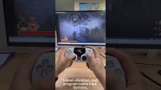 🎮 Come Play Realm of Ink with the NBCP 775 Wireless Controller with Screen! ⚔️