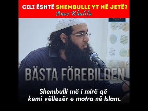 Video: Cili është shembulli i endosimbiozës?