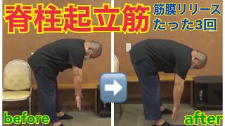 【激変注意！！】脊柱起立筋の筋膜リリースをしてみた件