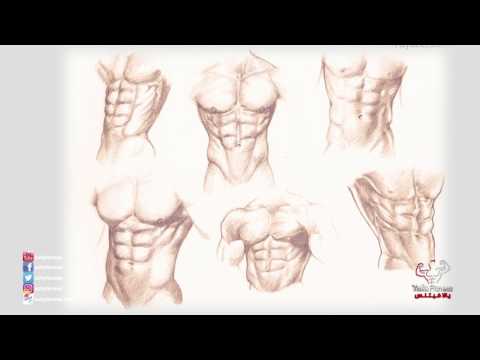 يالافيتنس الكوتش اسلام فهمي هيعلمك ازاي تطلع عضلات بطن الطريق المختصر لنحت البطن