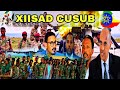 XASAASI Diyaar Garowga Oromadda Xiisadii Salaxad Iyo Raaso Wararka DDS 