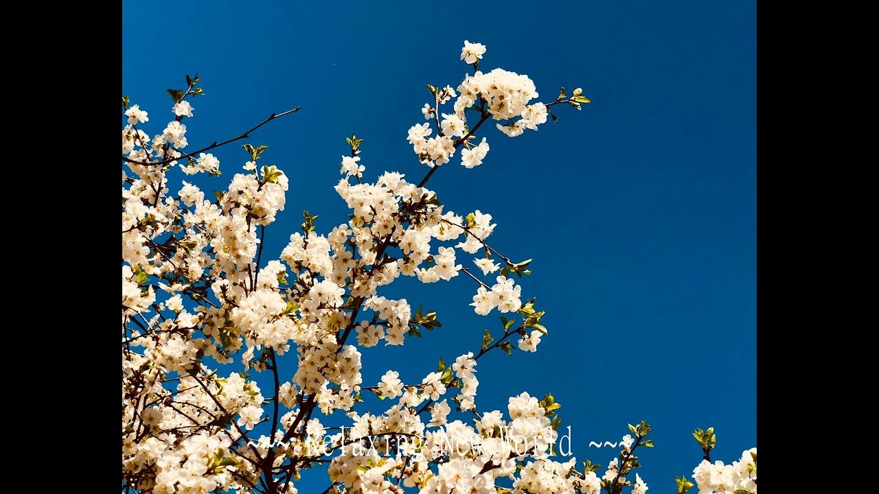 Ambient Relaxing Music for Deep Calm and Presence